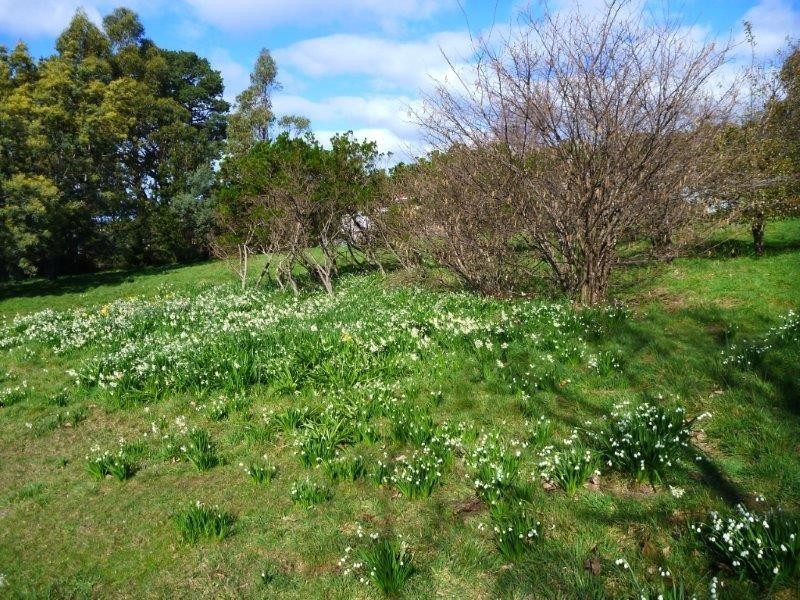 14-16 Bolton Street, Beaconsfield TAS 7270