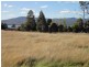 39 Annears Road, Blackwall TAS 7275