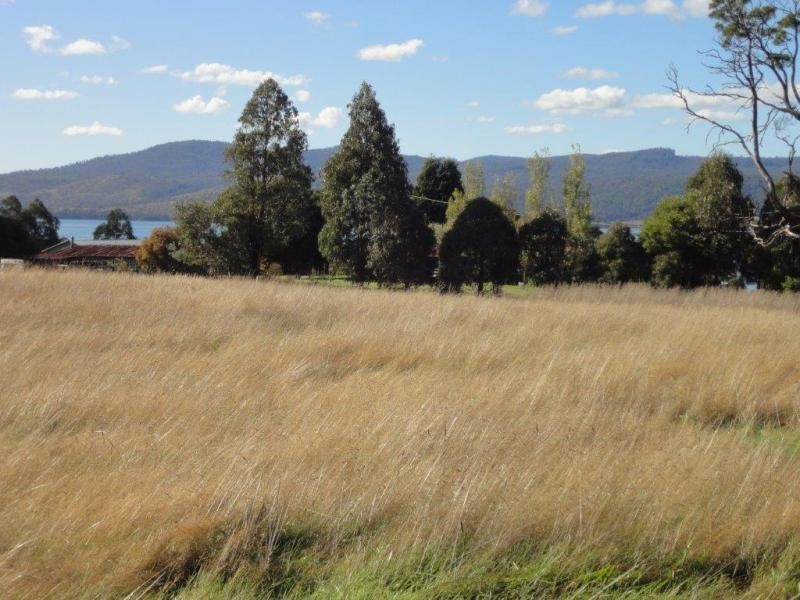 39 Annears Road, Blackwall TAS 7275