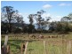 39 Annears Road, Blackwall TAS 7275