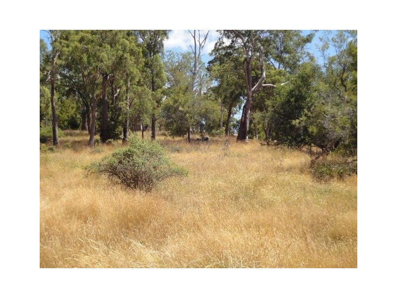 39 Annears Road, Blackwall TAS 7275