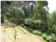 1305 Holwell Road, Holwell TAS 7275