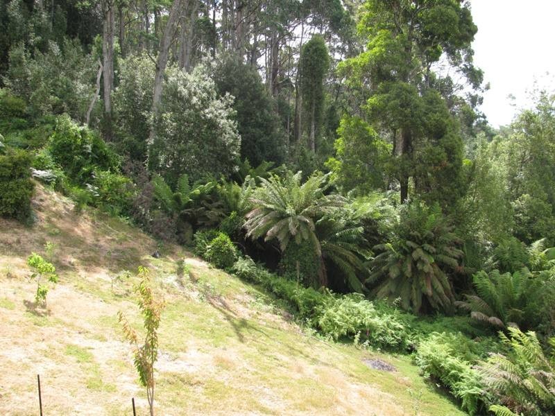 1305 Holwell Road, Holwell TAS 7275