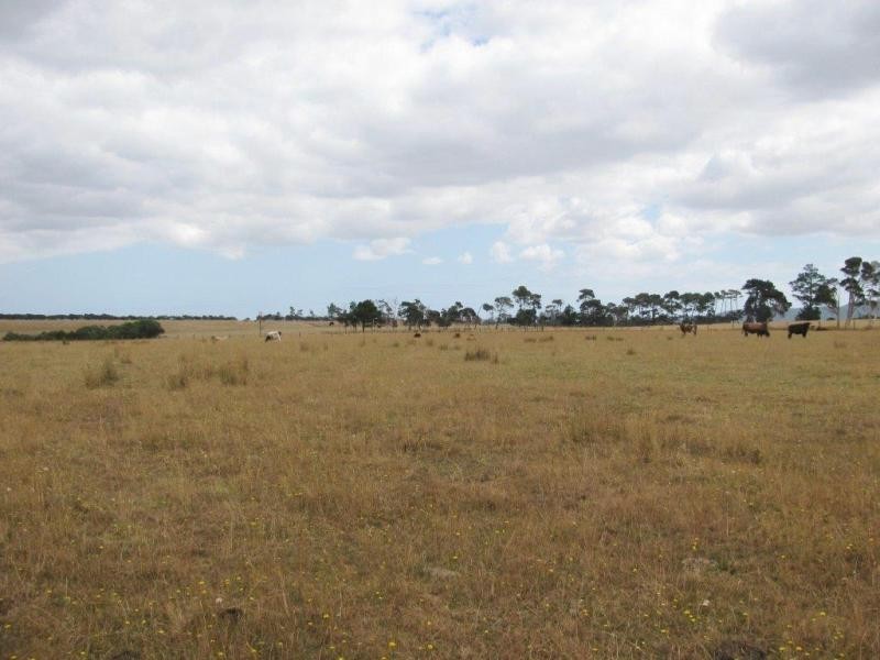 Lot 1 Rowella Road, Rowella TAS 7270