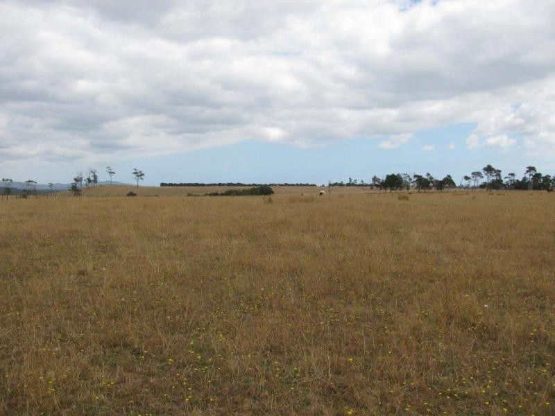 Lot 1 Rowella Road, Rowella TAS 7270