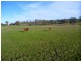 125 Spring Hill Road, Sidmouth TAS 7270