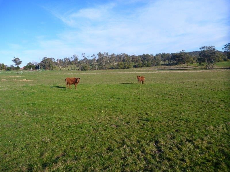 125 Spring Hill Road, Sidmouth TAS 7270