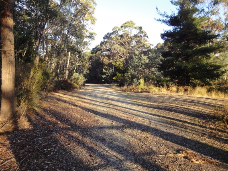 1751 Birralee Road, Birralee TAS 7303