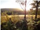 1751 Birralee Road, Birralee TAS 7303