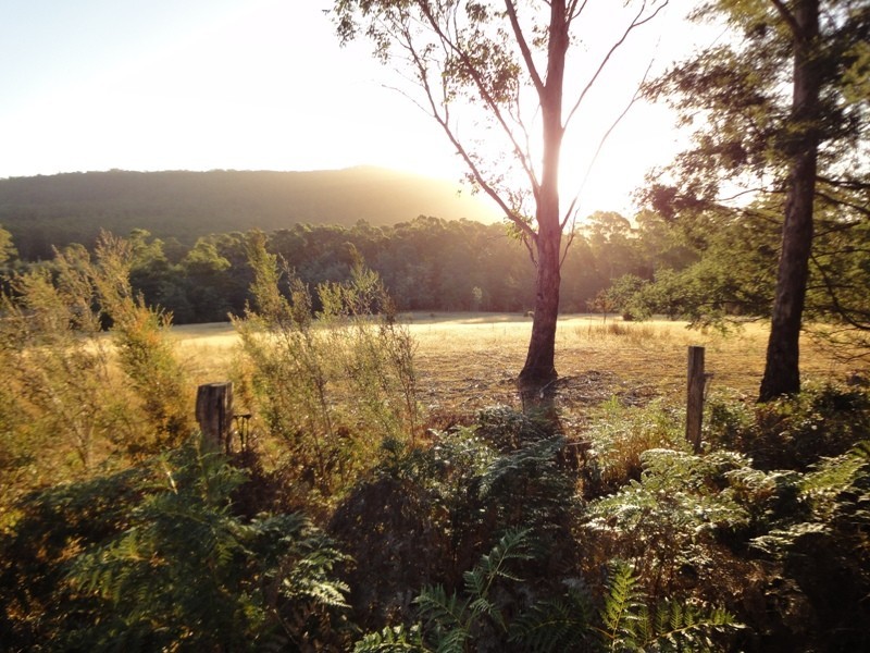 1751 Birralee Road, Birralee TAS 7303