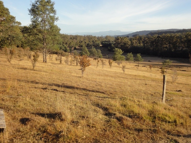 1751 Birralee Road, Birralee TAS 7303