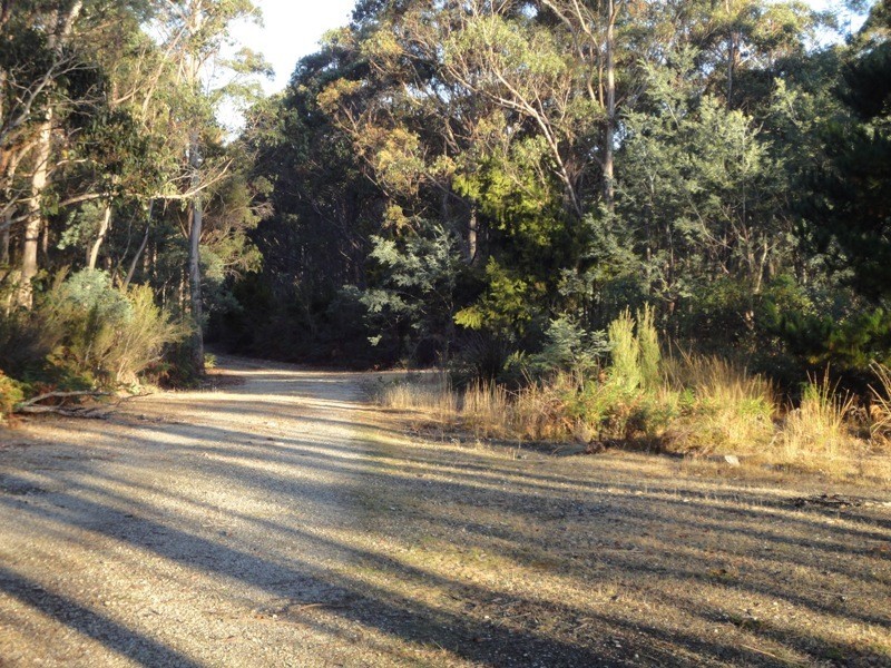 1751 Birralee Road, Birralee TAS 7303