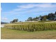 77 Faulkners Road, Winkleigh TAS 7275