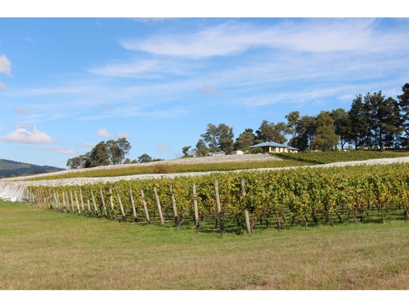 77 Faulkners Road, Winkleigh TAS 7275
