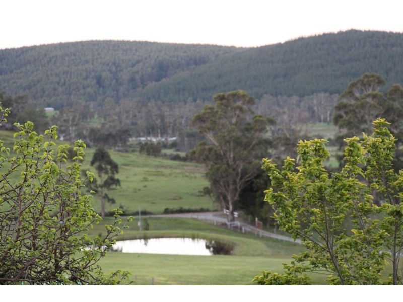 77 Faulkners Road, Winkleigh TAS 7275