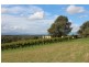 77 Faulkners Road, Winkleigh TAS 7275