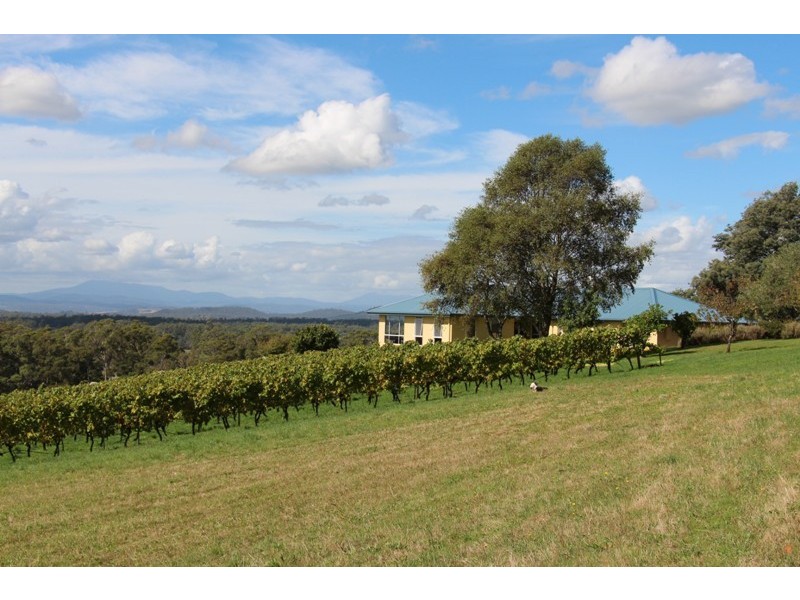 77 Faulkners Road, Winkleigh TAS 7275