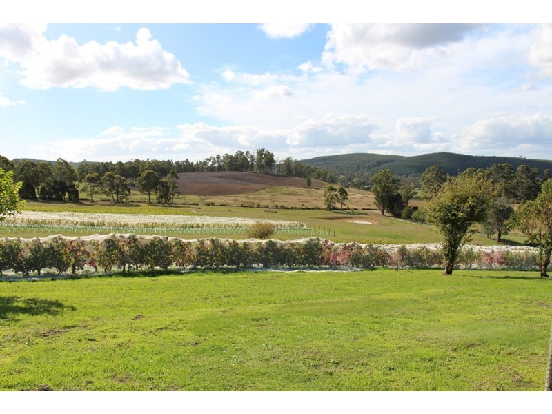 77 Faulkners Road, Winkleigh TAS 7275