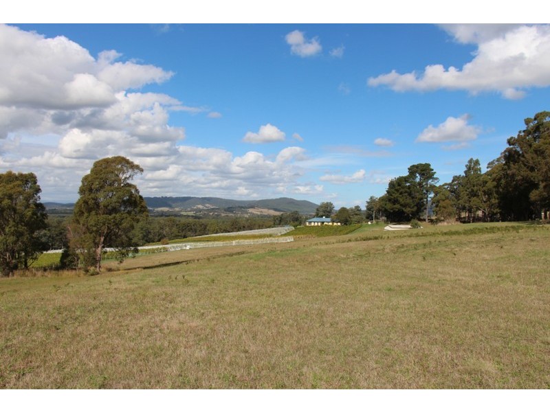 77 Faulkners Road, Winkleigh TAS 7275