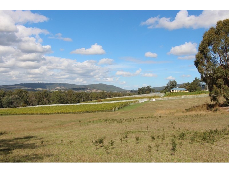 77 Faulkners Road, Winkleigh TAS 7275