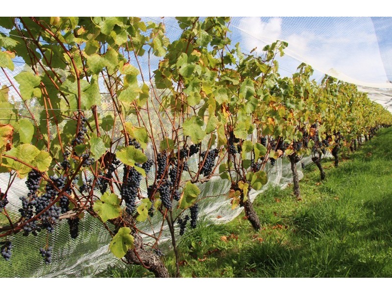 77 Faulkners Road, Winkleigh TAS 7275