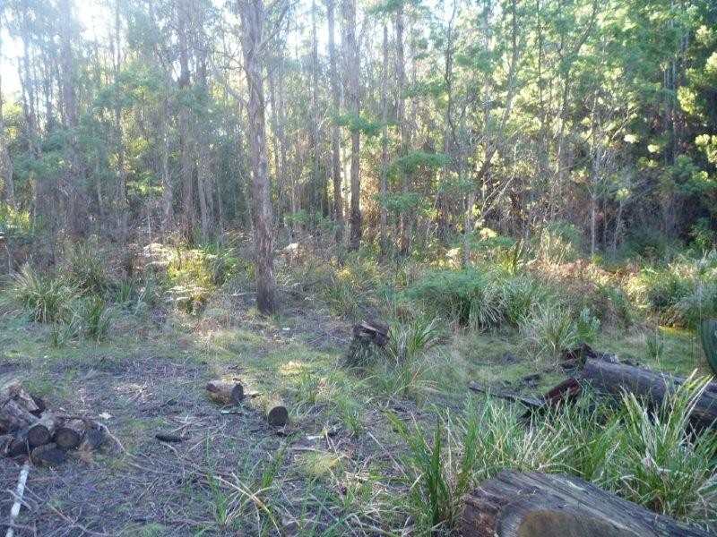 795 South Turkey Farm Road, Bridgenorth TAS 7277