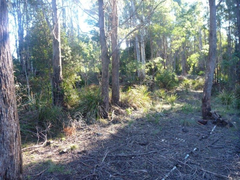 795 South Turkey Farm Road, Bridgenorth TAS 7277