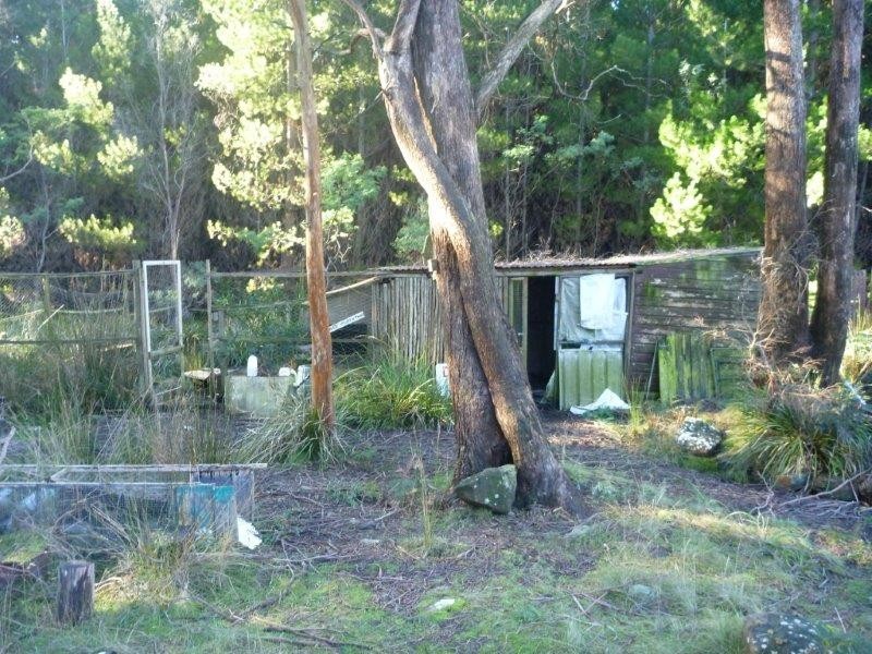 795 South Turkey Farm Road, Bridgenorth TAS 7277