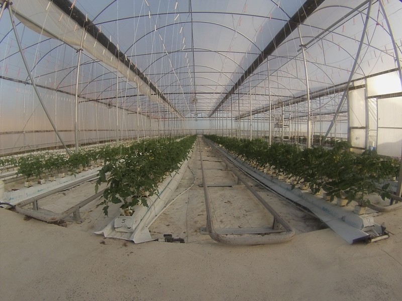 16 Glengarry Road, Glengarry TAS 7275