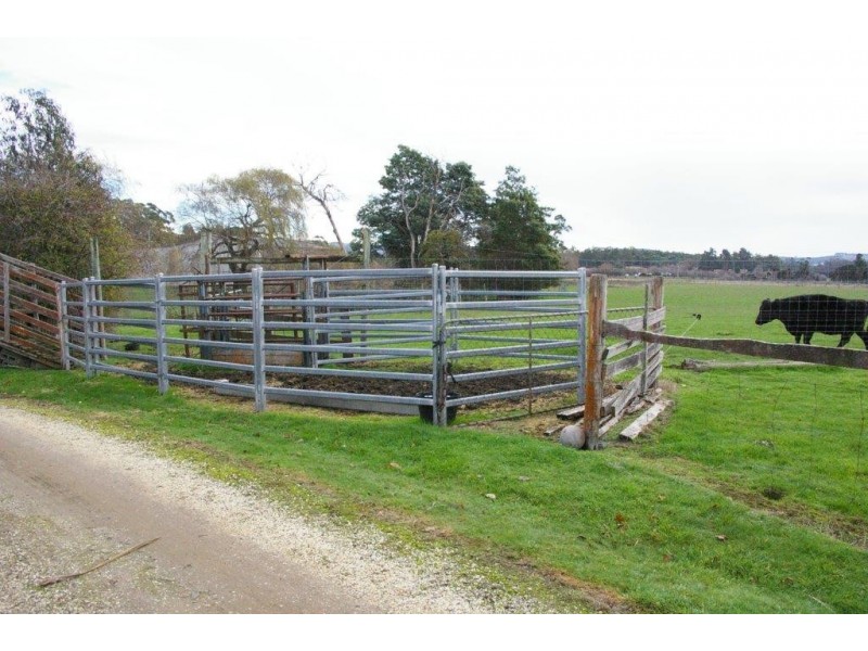 51 Loop Road, Glengarry TAS 7275