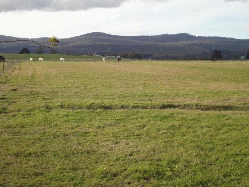 625 Rowella Road, Rowella TAS 7270