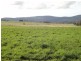625 Rowella Road, Rowella TAS 7270