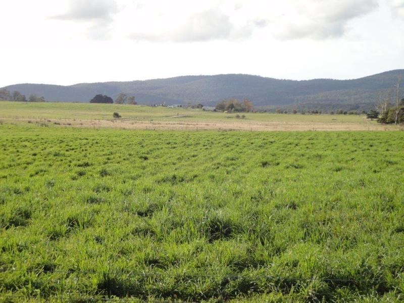 625 Rowella Road, Rowella TAS 7270