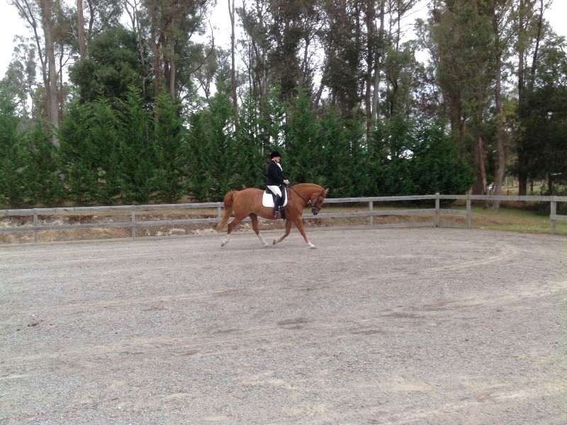 3537 West Tamar Highway, Sidmouth TAS 7270