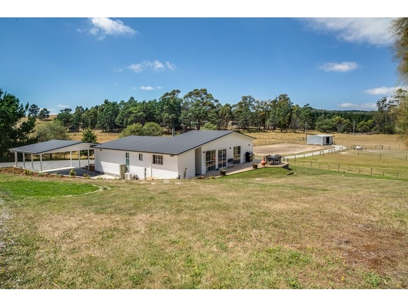 3537 West Tamar Highway, Sidmouth TAS 7270
