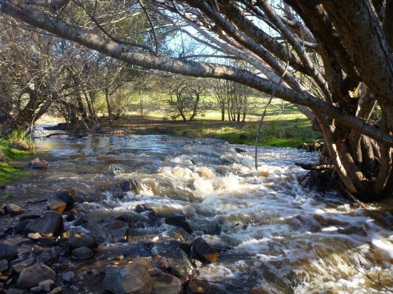 23 Muddy Creek Road, Legana TAS 7277