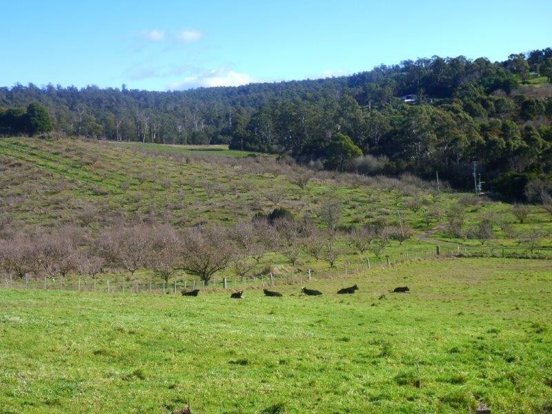 23 Muddy Creek Road, Legana TAS 7277