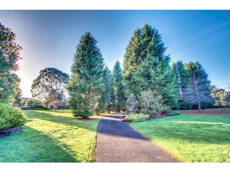 48 Alpine Crescent, Grindelwald TAS 7277