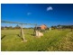 389 Clarence Point Road, Clarence Point TAS 7270