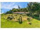 30 Atkinsons Road, Grindelwald TAS 7277