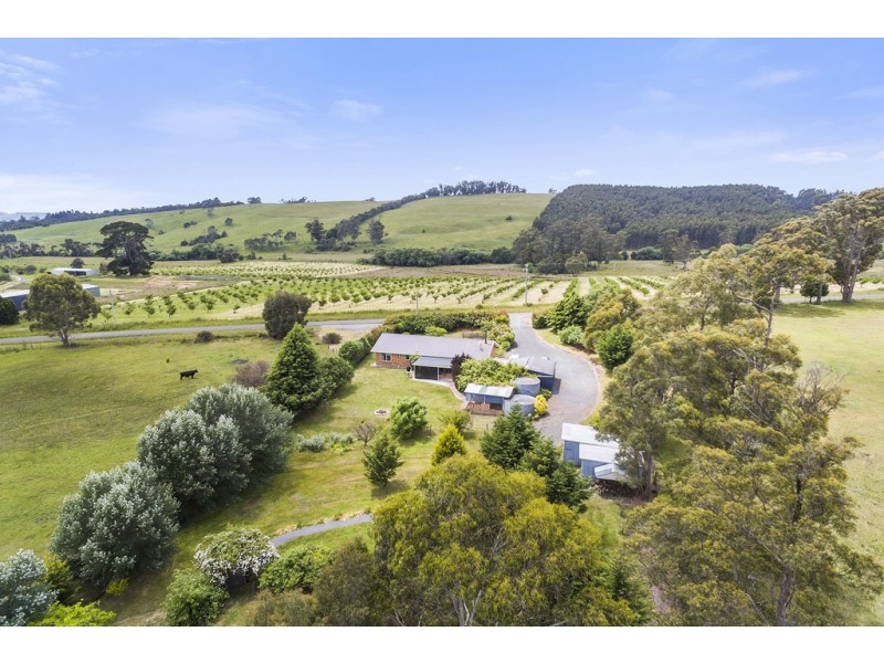 58 Turkey Farm Road, Glengarry TAS 7275
