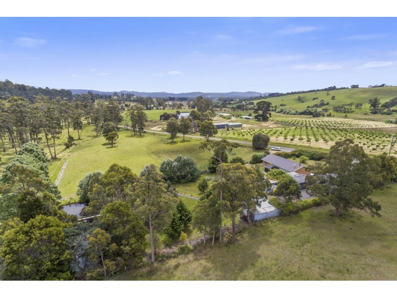 58 Turkey Farm Road, Glengarry TAS 7275
