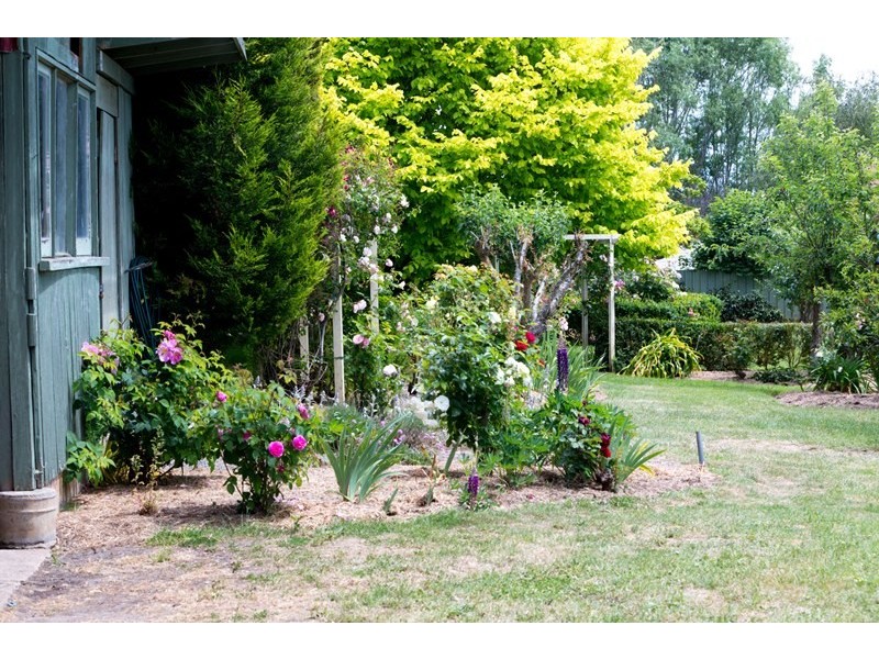 595 Deviot Road, Deviot TAS 7275