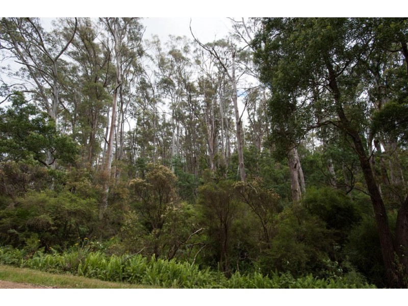 257 Motor Road, Deviot TAS 7275