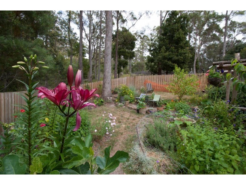 257 Motor Road, Deviot TAS 7275