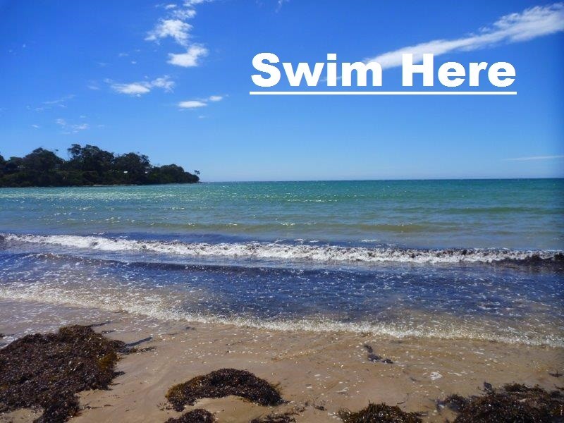 25 Ocean View Drive, Greens Beach TAS 7270