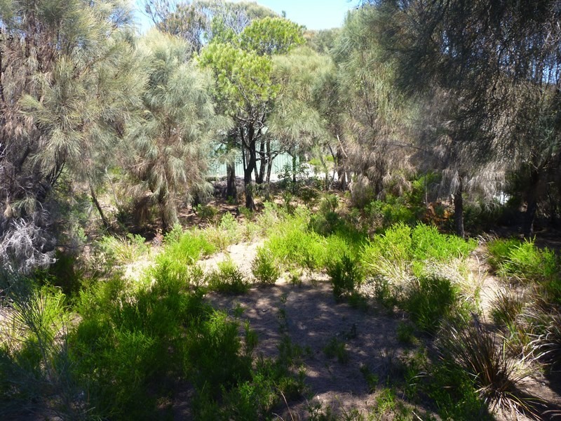 25 Ocean View Drive, Greens Beach TAS 7270