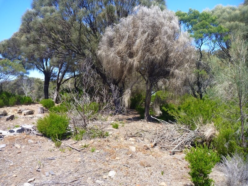 25 Ocean View Drive, Greens Beach TAS 7270