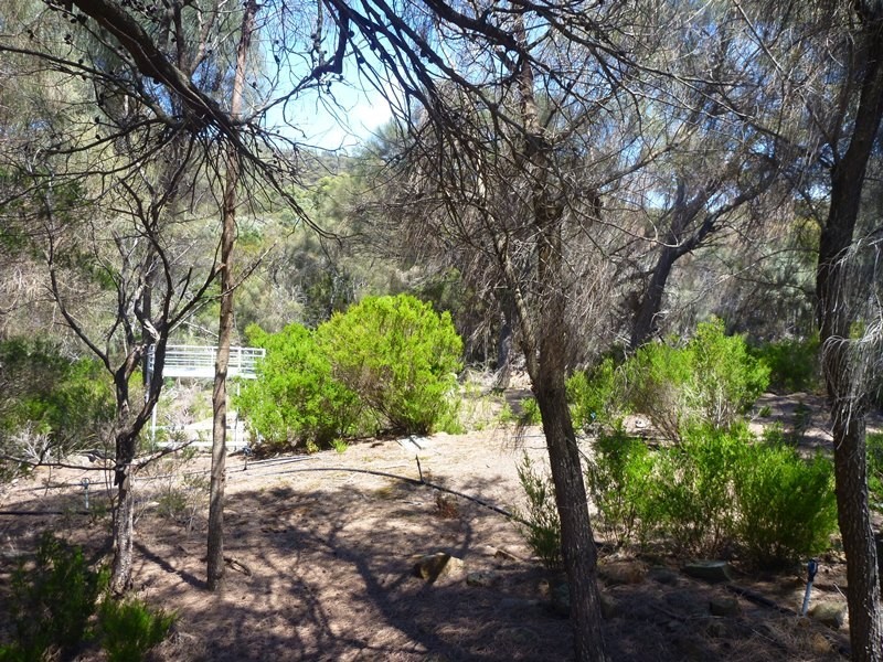 25 Ocean View Drive, Greens Beach TAS 7270