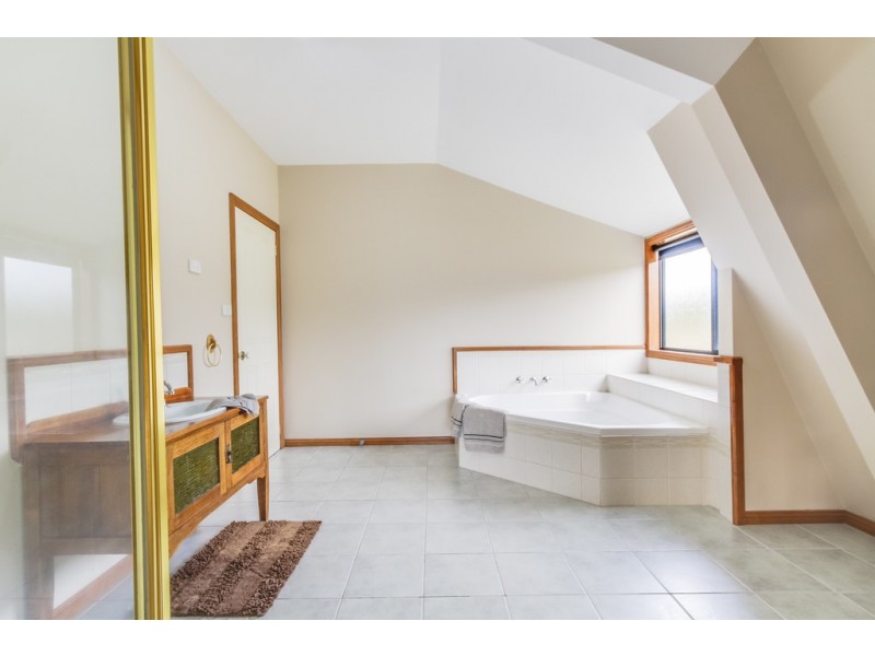 375 Badger Head Road, Badger Head TAS 7270